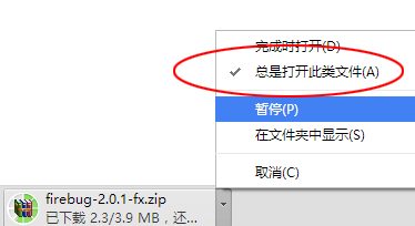 Chrome下载勾选“总是打开此类文件”的解决办法1