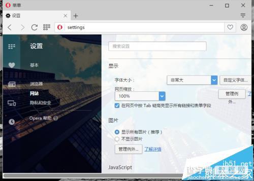 opera欧朋浏览器怎么自定义设置网页字体的大小?7