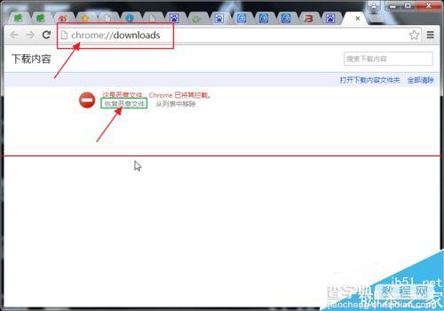Chrome浏览器提示下载文件是恶意文件已将其拦截怎么办？3