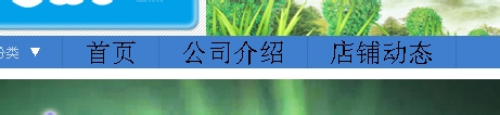 淘宝店铺导航装修怎么编辑？淘宝新旺铺导航CSS代码使用修改技巧16