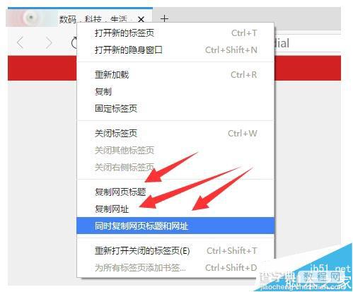 电脑版旗鱼浏览器1.0 Beta2 公测版发布 内附下载2