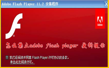 如何禁止adobe flash player for ie更新提示1
