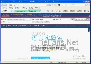 怎么让网页自动翻译？ 在IE浏览器中实现网页自动翻译的方法4