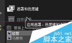 使用会声会影给视频中部分地方添加马赛克的方法11