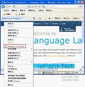 怎么让网页自动翻译？ 在IE浏览器中实现网页自动翻译的方法3