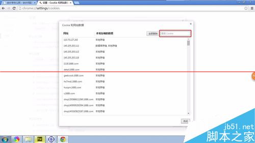 chrome浏览器设置删除指定网站的指定cookie缓存的详细教程5