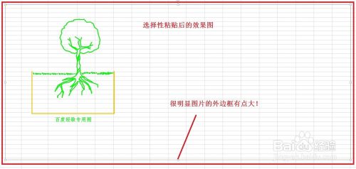 cad作的图片如何高清晰地导入到word?6