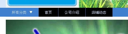 淘宝店铺导航装修怎么编辑？淘宝新旺铺导航CSS代码使用修改技巧15