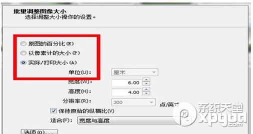 怎样用acdsee批量修改图片大小方法教程5