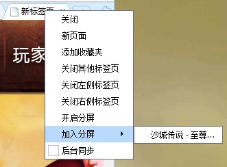 2291游戏浏览器怎么进行游戏分屏？2291游戏浏览器游戏分屏功能使用教程6