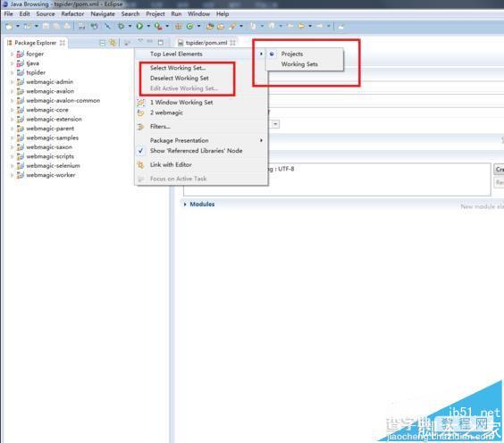 Eclipse中怎么使用Working set管理项目?1