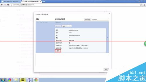 chrome浏览器设置删除指定网站的指定cookie缓存的详细教程7