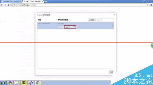 chrome浏览器设置删除指定网站的指定cookie缓存的详细教程6