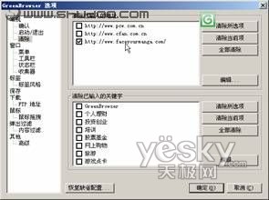 GreenBrowser浏览器选择性地删除网站记录1