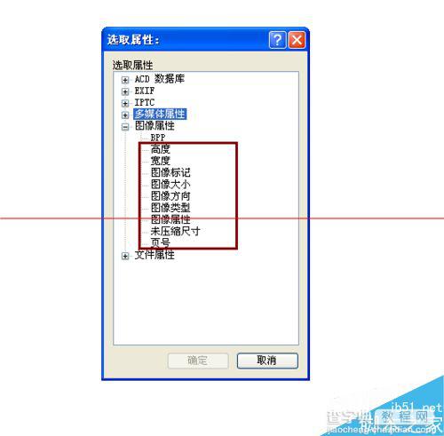 ACDsee怎么用？acdsee做图像属性的教程5