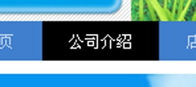 淘宝店铺导航装修怎么编辑？淘宝新旺铺导航CSS代码使用修改技巧25