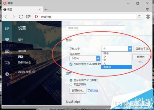 opera欧朋浏览器怎么自定义设置网页字体的大小?1