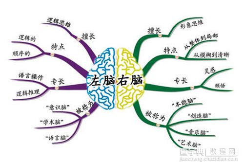 思维导图MindManager基础教程 在线脑图mindmanager9教程详情介绍1