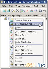 Microsoft Visual Source Safe 2005（VSS）安装使用图文教程21