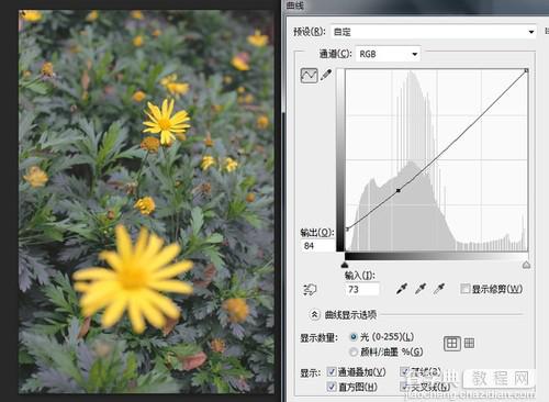 怎样使用曲线让画面更柔和技巧5