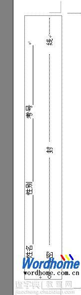 使用Word2003制作试卷密封线10