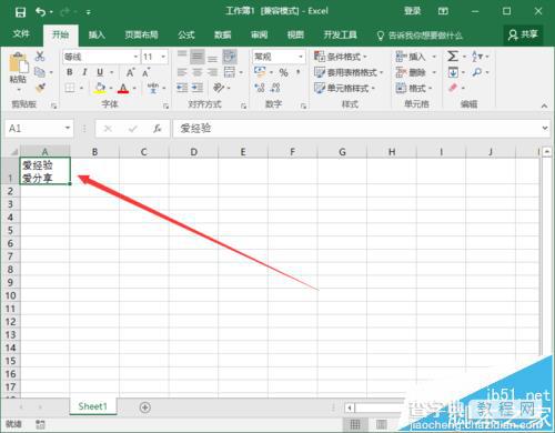 Excel2016表格中的文字怎么设置自动换行?11