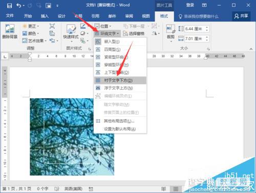 Word2016文档中的图片怎么输入文字?13