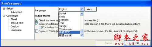 使用mediainfo软件检测原视频文件的视频参数信息教程7