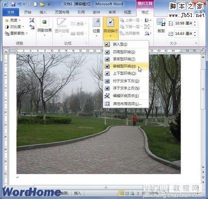 怎样在Word2010文档中设置图片文字环绕方式5