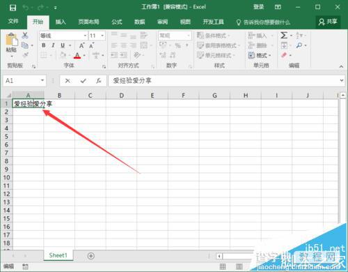 Excel2016表格中的文字怎么设置自动换行?10