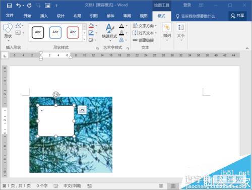 Word2016文档中的图片怎么输入文字?5