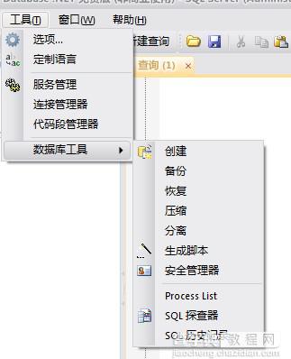 Database.NET强大的数据库查询管理工具使用图文教程30