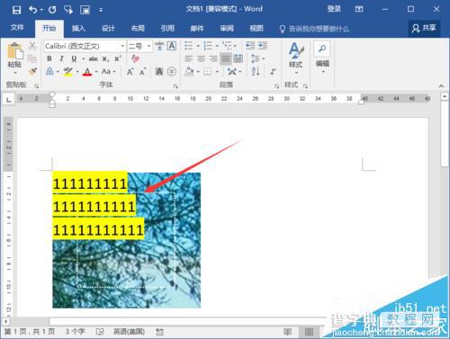 Word2016文档中的图片怎么输入文字?14