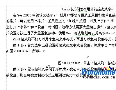 Word格式刷怎么用才能提高效率2