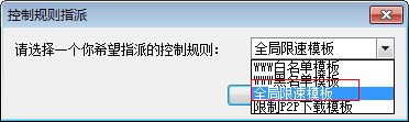 如何利用P2P终结者软件限制别人网速?P2P终结者断网限速教程11