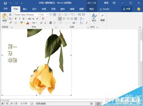 Word2016中怎么画精美卡片?7