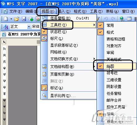 在WPS 2007中插入漂亮的页码样式1