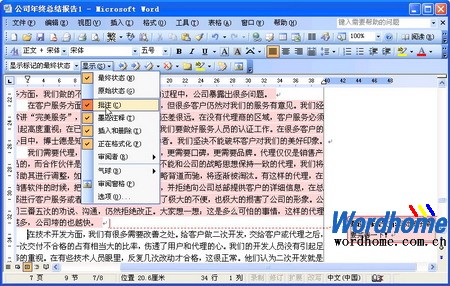 在Word2003中使用Word文档批注功能2