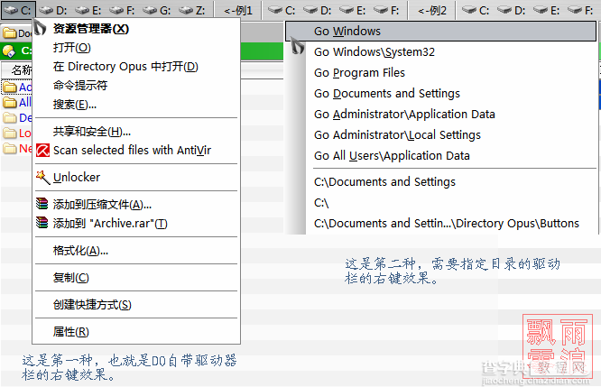 Directory Opus的驱动器栏Driverbar怎么用19