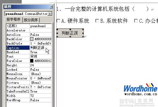 在Word2003中使用Word8