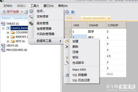 Database.NET强大的数据库查询管理工具使用图文教程13