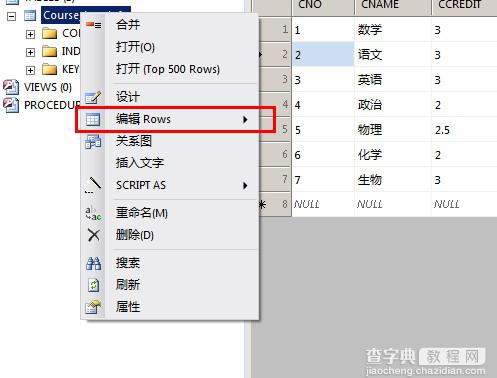 Database.NET强大的数据库查询管理工具使用图文教程11