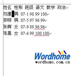 Word表格制作：先输入内容后插入表格1