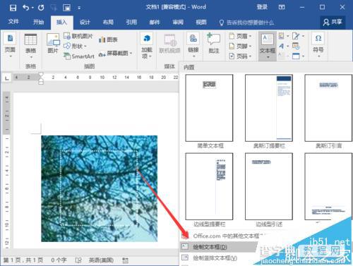 Word2016文档中的图片怎么输入文字?4