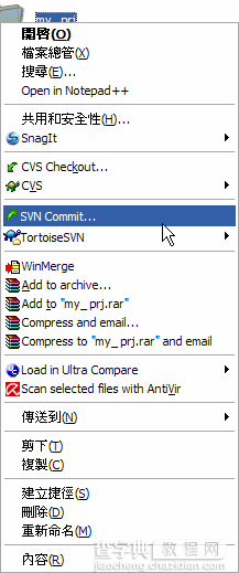 TortoiseSVN 图文使用教程16