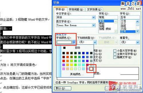 隐藏Word中的文字三招技巧 防止被盗1