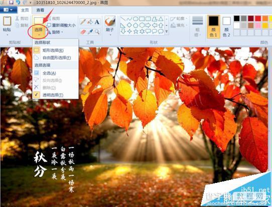 windows自带的画图工具怎么剪切调整图片大小?3