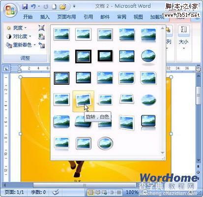 Word 2007 应用图片样式方法2