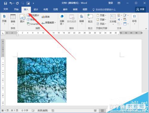 Word2016文档中的图片怎么输入文字?3