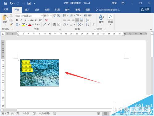 Word2016文档中的图片怎么输入文字?25